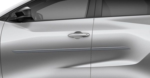 Painted Body Side Moldings : Toyota bZ4X Painted Body Side